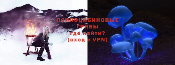 первитин Коряжма