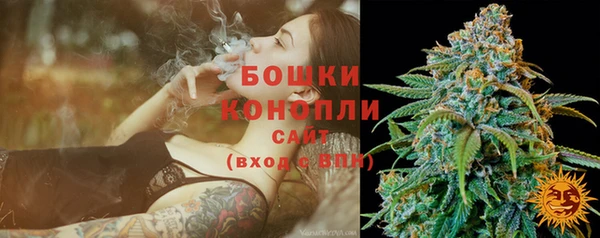 первитин Коряжма