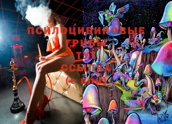 первитин Коряжма