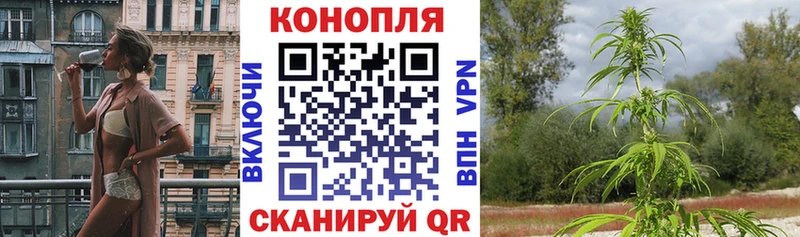 Бошки Шишки индика Павловская